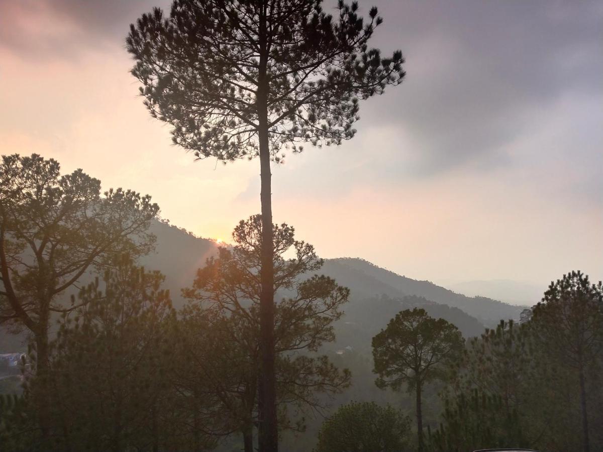 Pine Villa Kasauli Exteriér fotografie