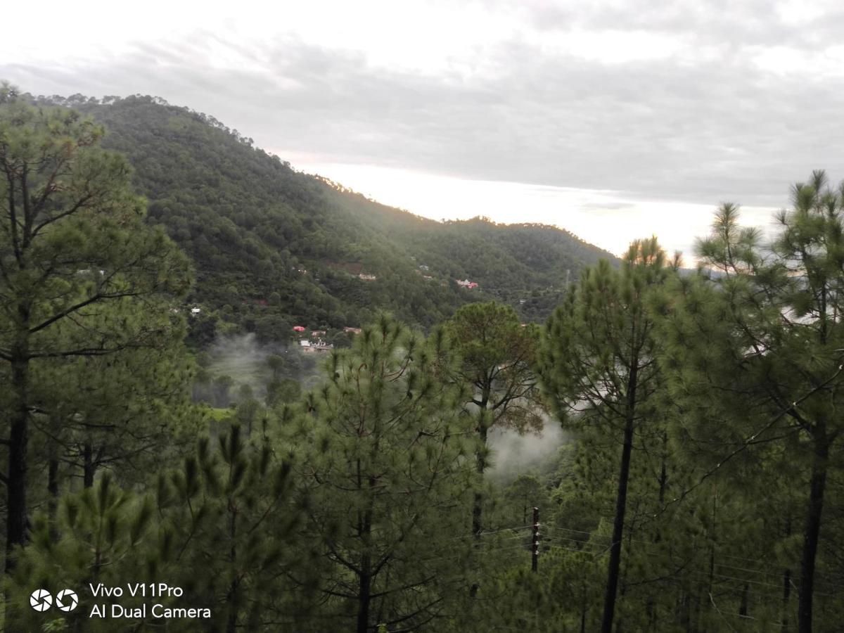 Pine Villa Kasauli Exteriér fotografie